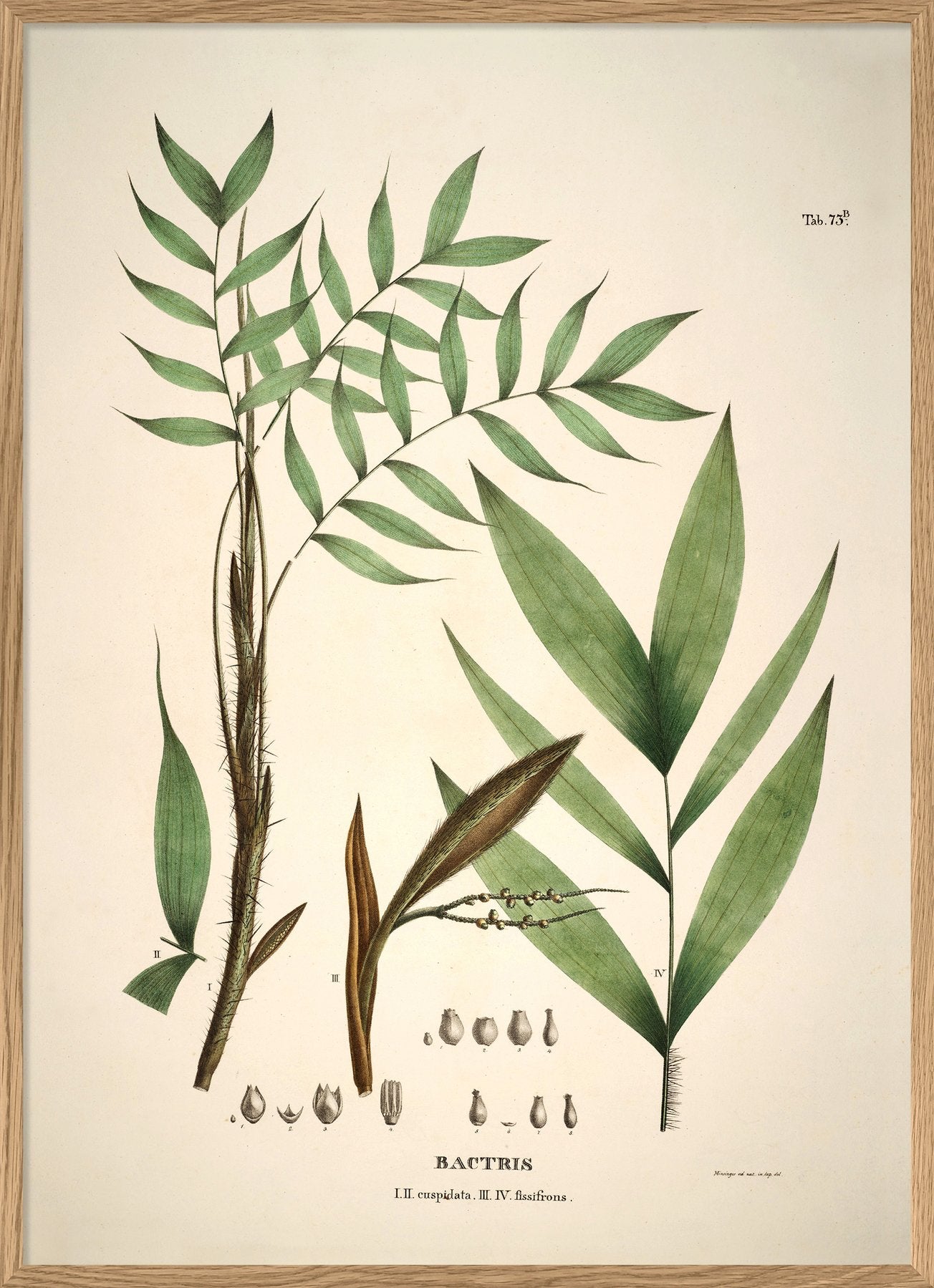 Palm Leaves Framed Art Print - OFG 50x70 3514 - Uneeka