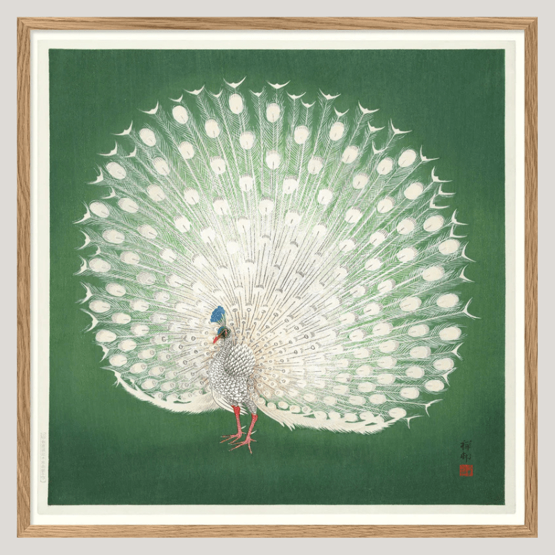Peacock On Green Framed Print - OFG 30x30 4832 - Uneeka