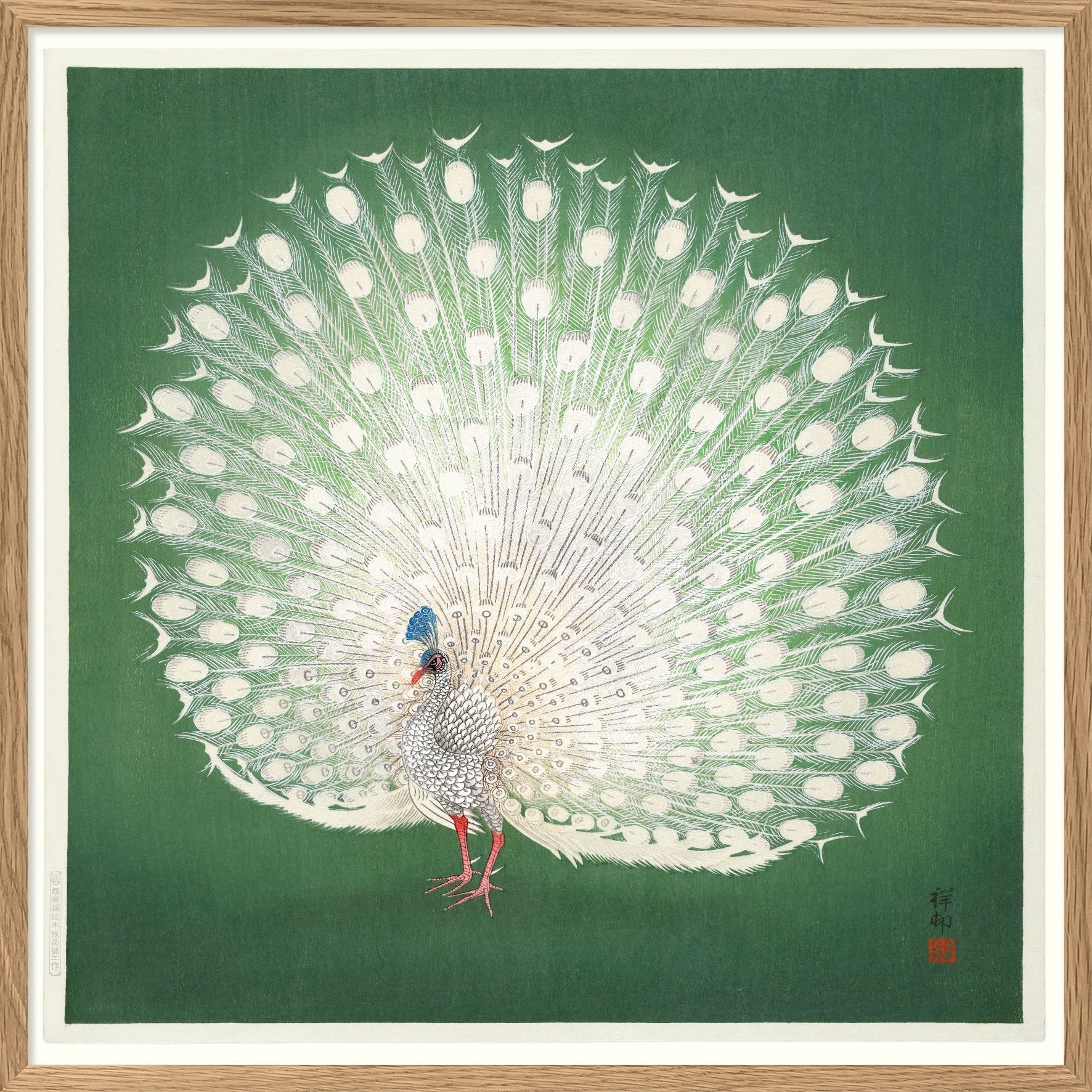 Peacock On Green Framed Print - OFG 30x30 4832 - Uneeka