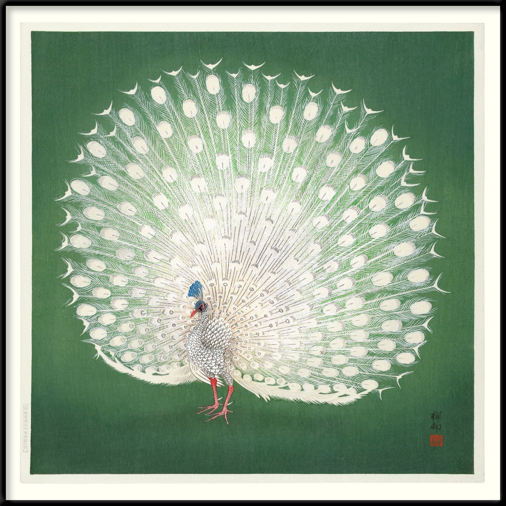 Peacock On Green Framed Print - BFG 30x30 4832 - Uneeka