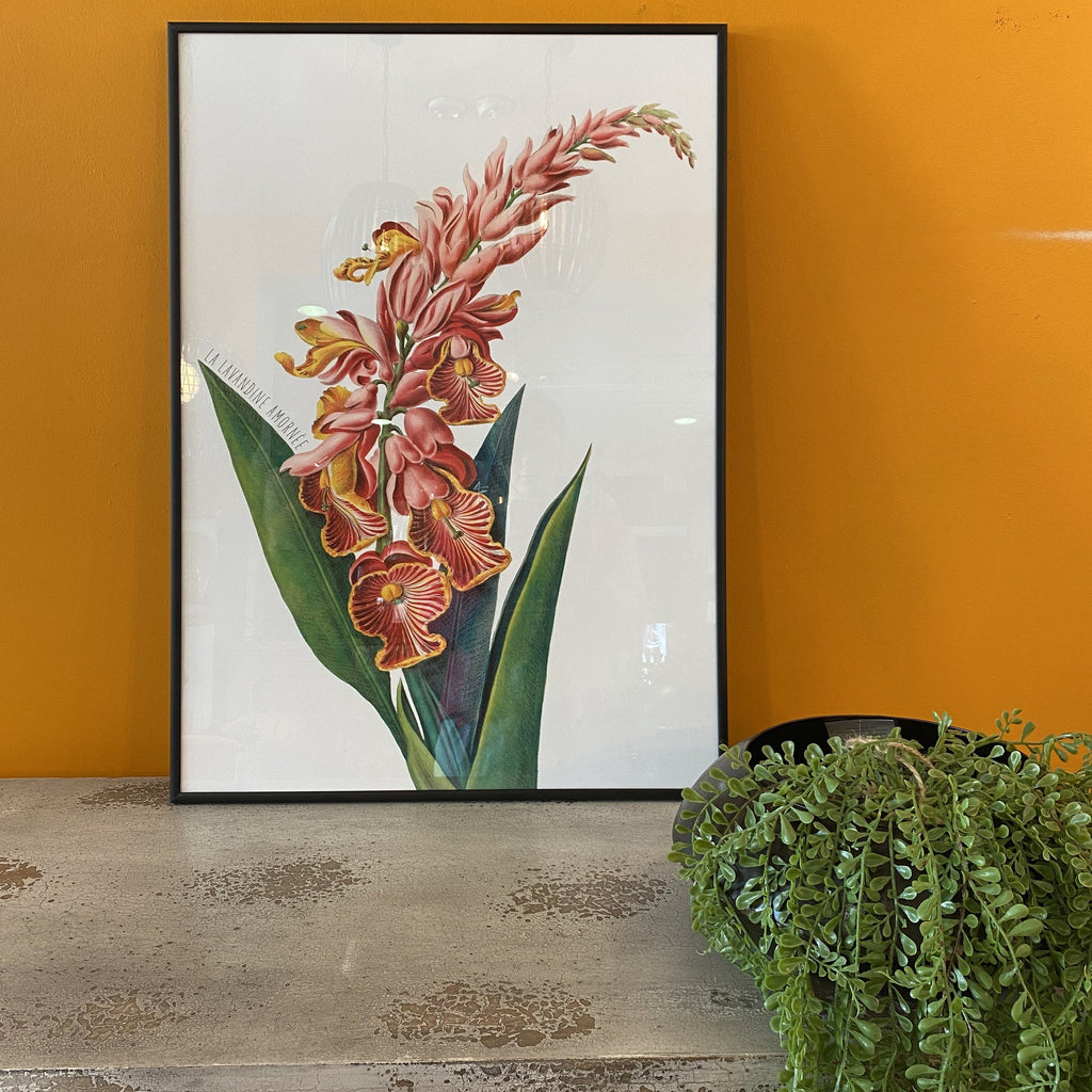 Pink Alpinia Flower Art Print - BFG 50x70 4705 - Uneeka