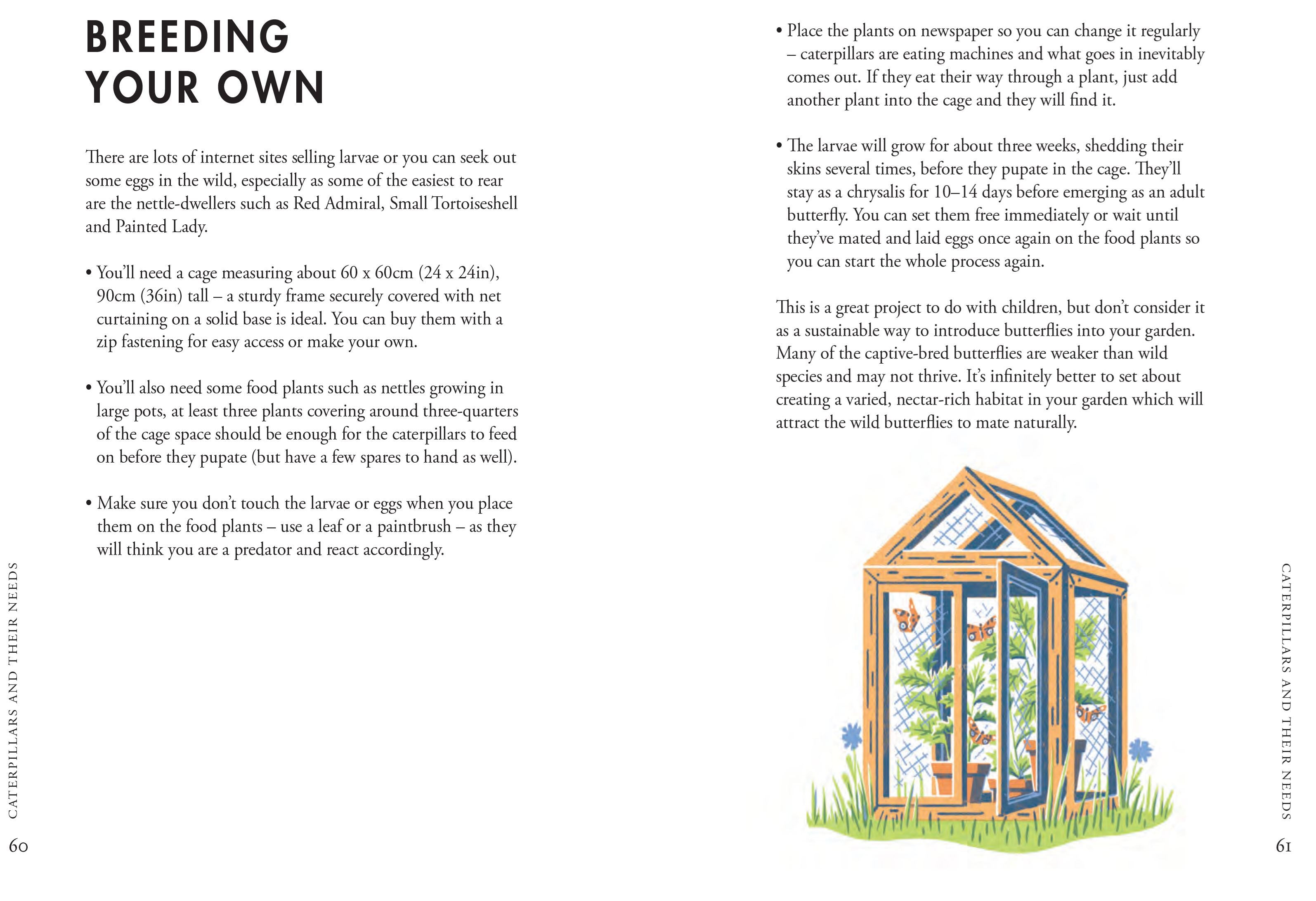 Planting For Butterflies Gardening Book - B050148 - Uneeka
