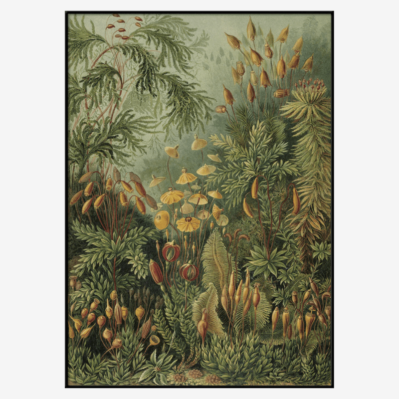 Polytrichum Moss Jungle Botanical Framed Print - BFG 30x40 8216 - Uneeka