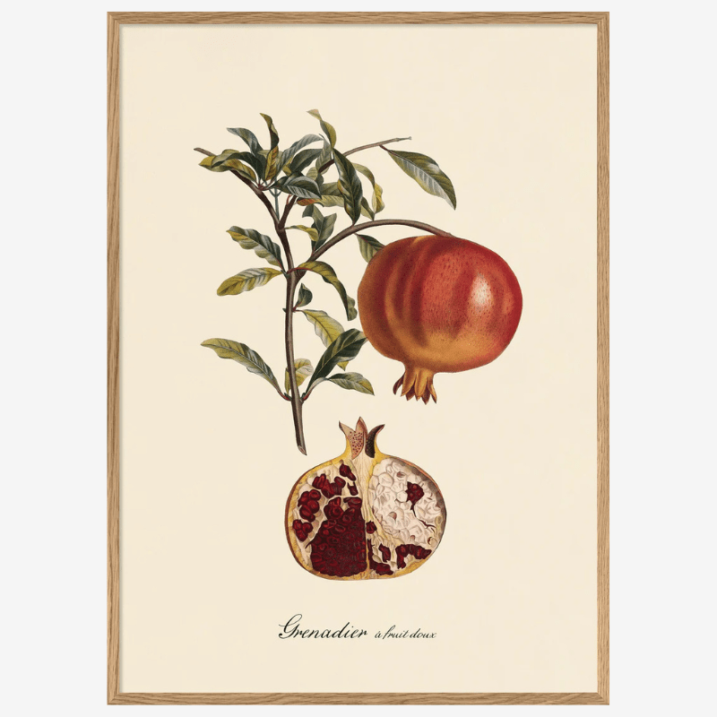 Pomegranate Framed Art Print - OFG 50x70 3612 - Uneeka