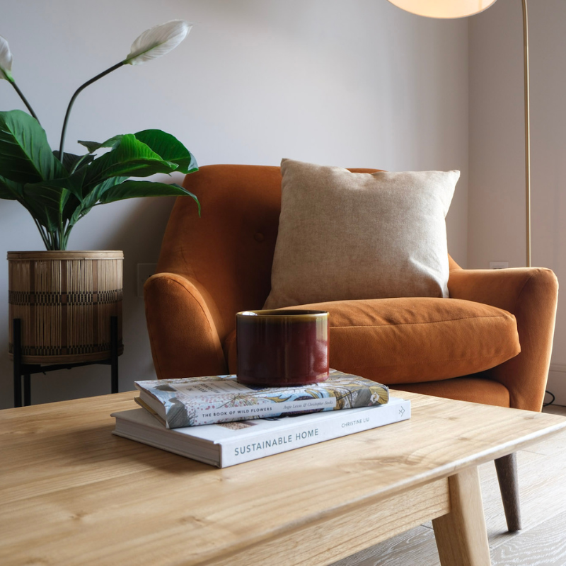 A warm rust-orange velvet armchair in a styled living room setting, featuring a beige throw pillow, a wooden coffee table with books and a mug, and a potted plant in the background.