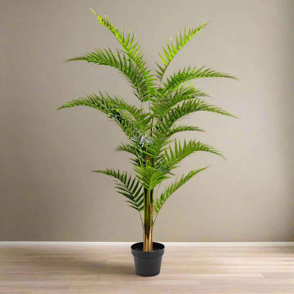 Ornamental Fern Tree In Black Pot - AF41 - Uneeka