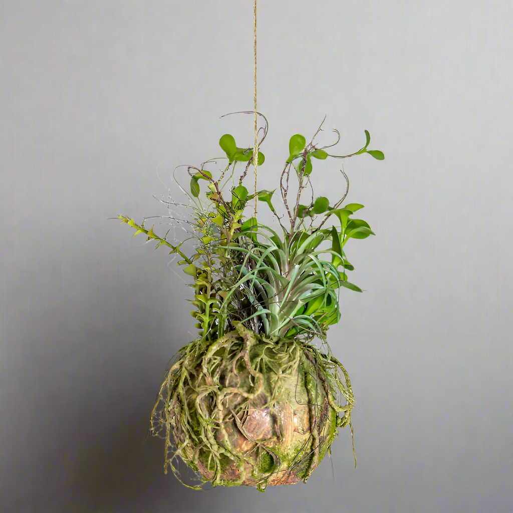 Hanging Faux Moss Ball - AF78 - Uneeka