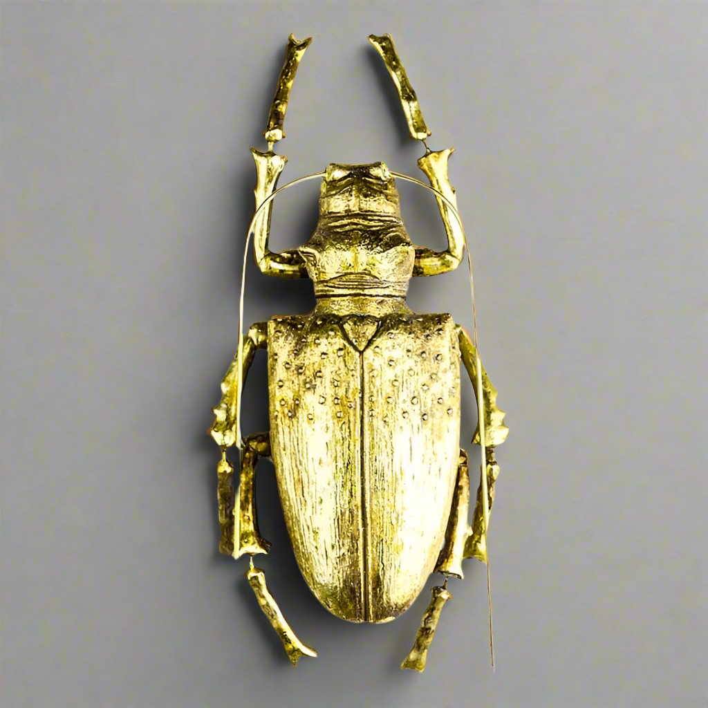 Large Gold Beetle Wall Decor - TPR14 - Uneeka
