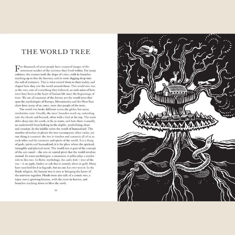 Treasury Of Folklore: Woodlands & Forests - B057171 - Uneeka