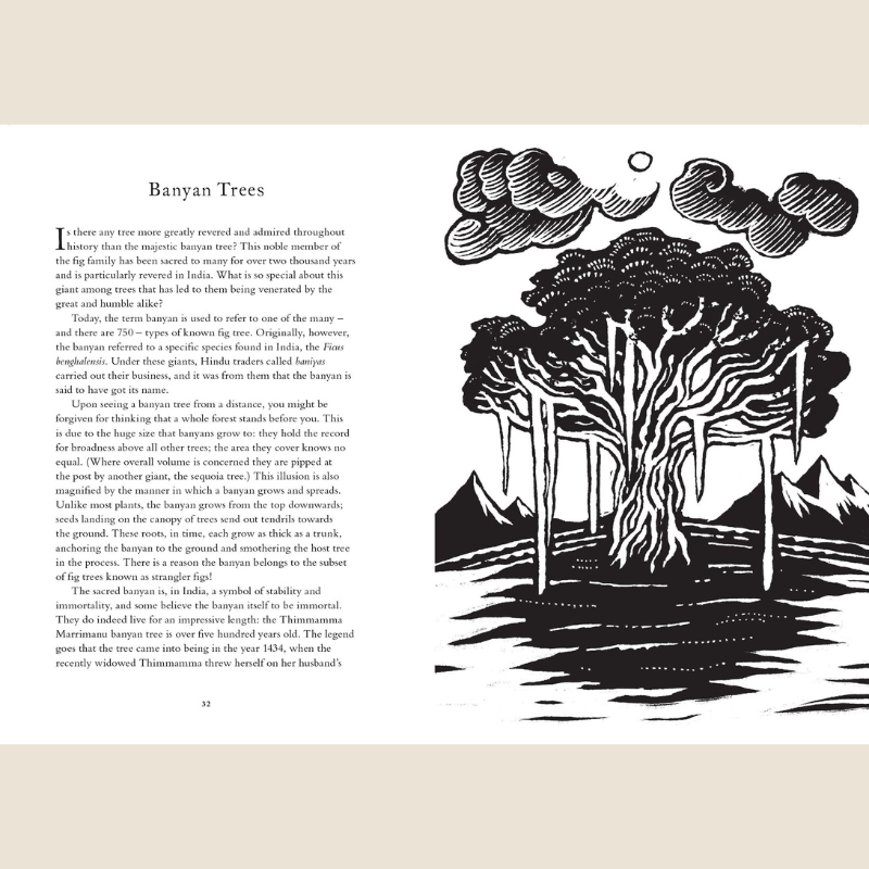 Treasury Of Folklore: Woodlands & Forests - B057171 - Uneeka