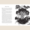 Treasury Of Folklore: Woodlands & Forests - B057171 - Uneeka