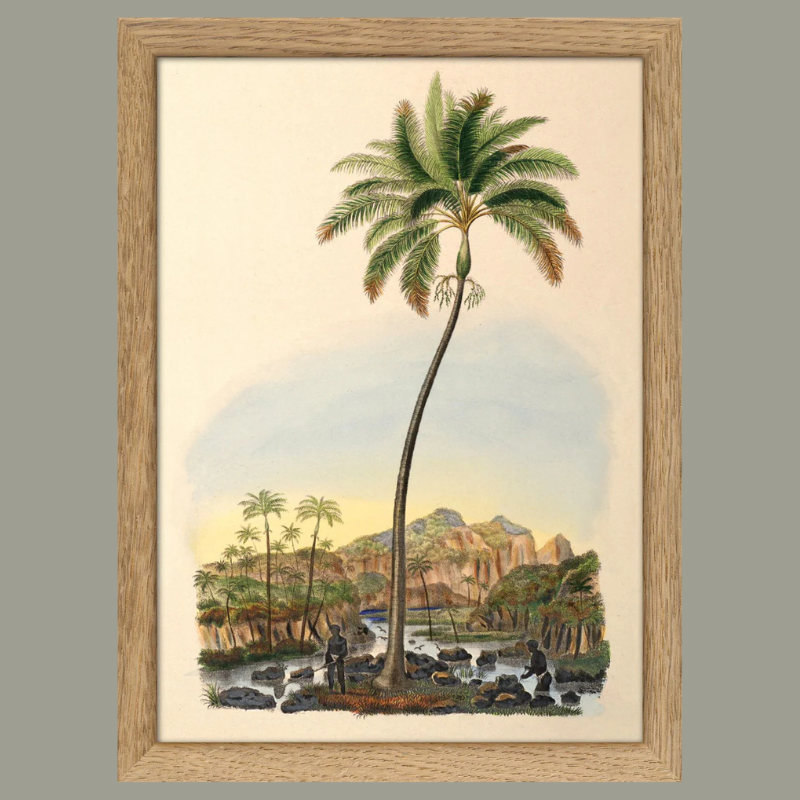 Palmarum Palm II Framed Mini Art Print - OFG 15x21 RC230 - Uneeka