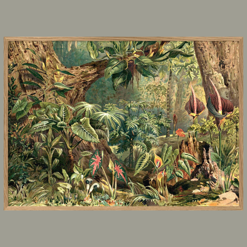 Aracae Jungle Framed Art Print - OFP 100x140 2929H - Uneeka