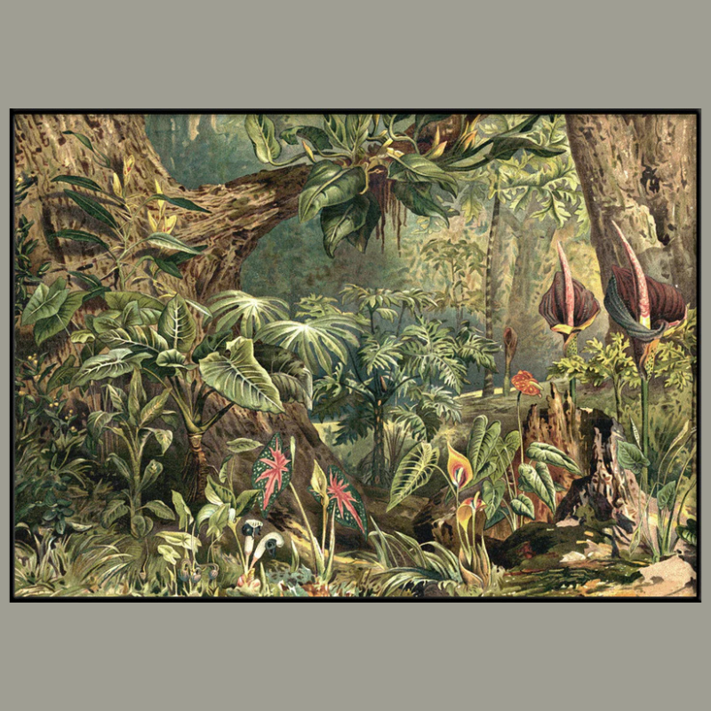 Aracae Jungle Framed Art Print - BFP 100x140 2929H - Uneeka