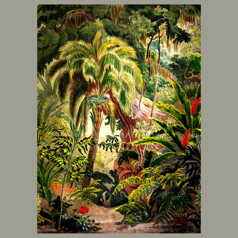 Lush Jungle Scenery Framed Art Print - 100x140 6104 - Uneeka