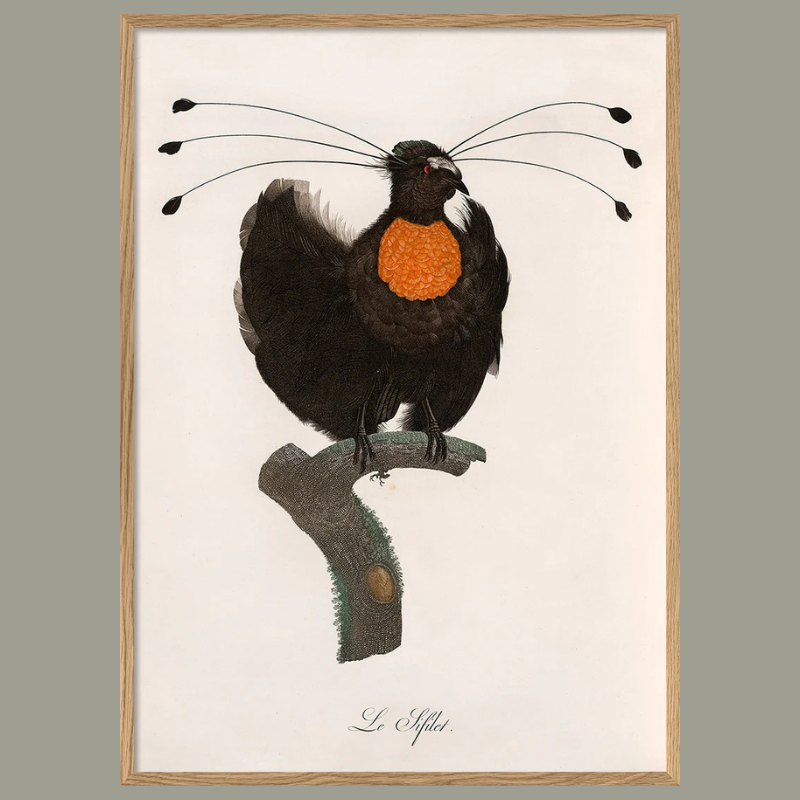 Le Sifilet Framed Art Print - OFP 100x140 6710 - Uneeka