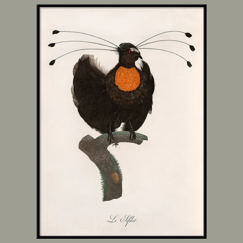 Le Sifilet Framed Art Print - BFP 100x140 6710 - Uneeka