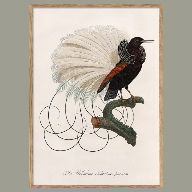 Le Nébuleux Framed Art Print - OFP 100x140 6713 - Uneeka