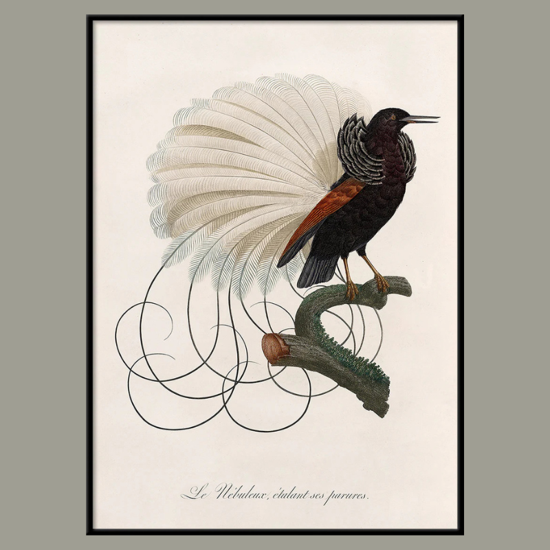 Le Nébuleux Framed Art Print - BFP 100x140 6713 - Uneeka