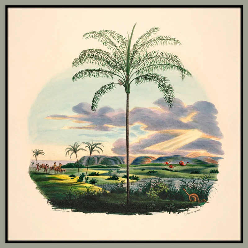 Palm & Sunset Framed Art Print - BFG 61x61 3541 - Uneeka