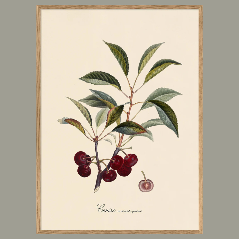 Cherries Framed Art Print - OFP 100x140 3604 - Uneeka