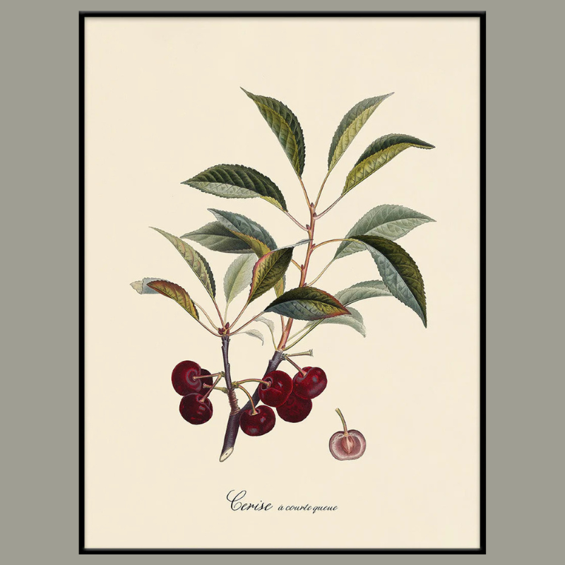 Cherries Framed Art Print - BFP 100x140 3604 - Uneeka