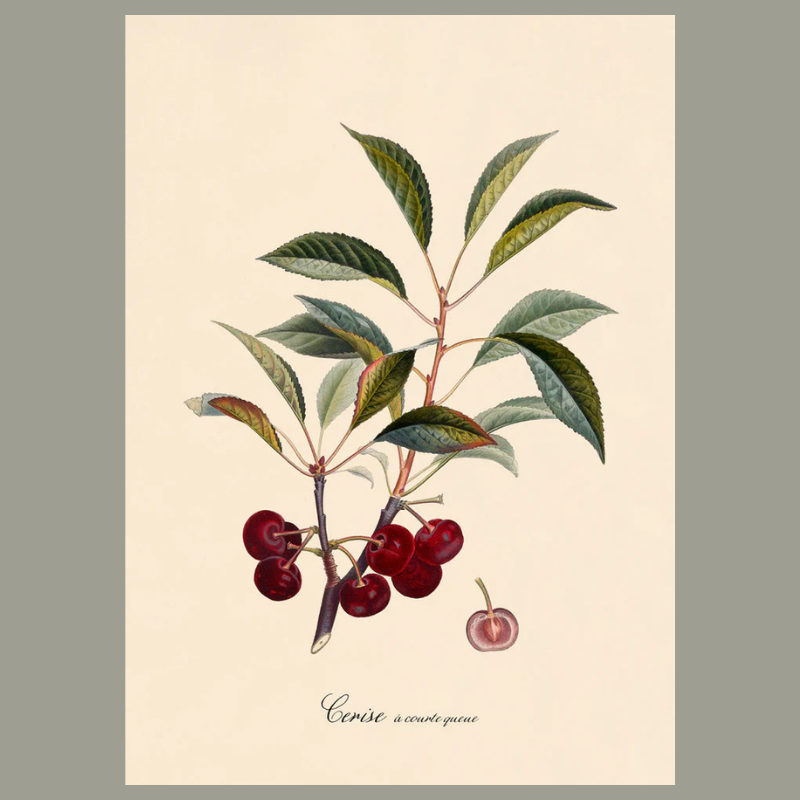 Cherries Framed Art Print - 100x140 3604 - Uneeka