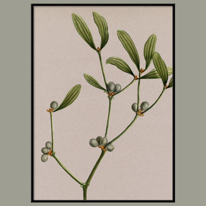 Mistletoe Sprig Framed Art Print - BFP 100x140 6221 - Uneeka