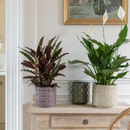 Reactive Glaze Textured Tile Plant Pot - TTSGP16 - Uneeka