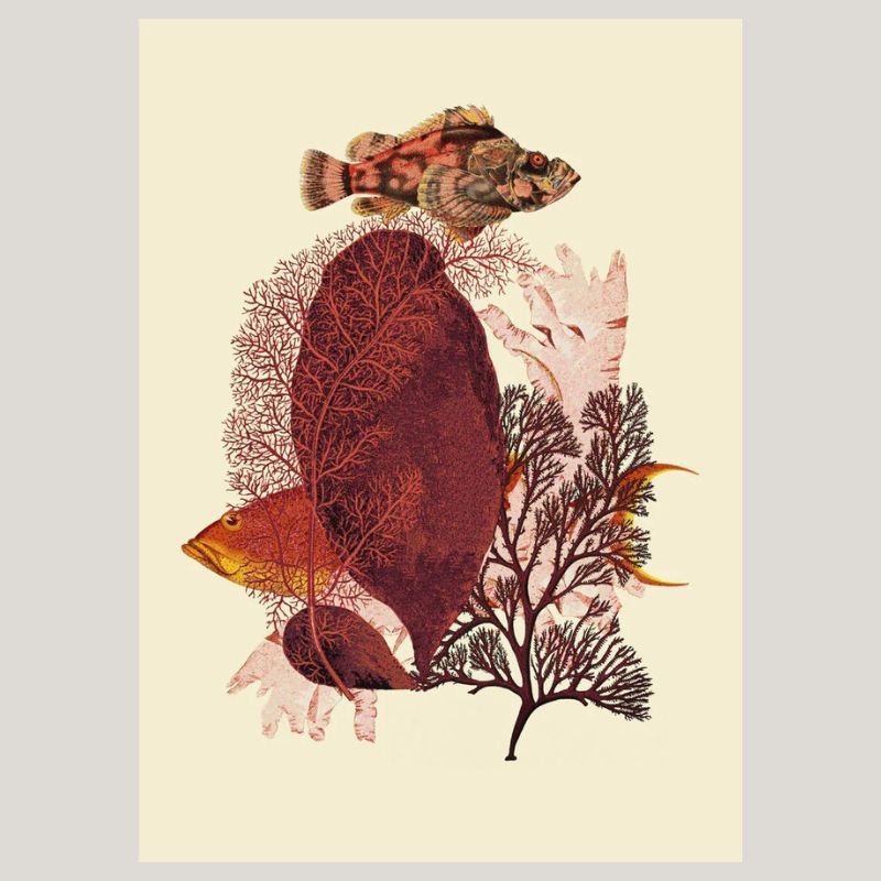 Red Tone Fish Framed Art Print - 30x40 5600 - Uneeka