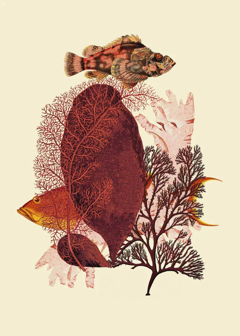 Red Tone Fish Framed Art Print - 50x70 5600 - Uneeka