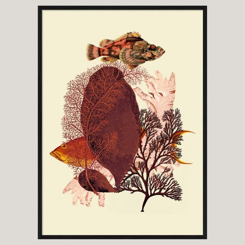 Red Tone Fish Framed Art Print - BFG 30x40 5600 - Uneeka