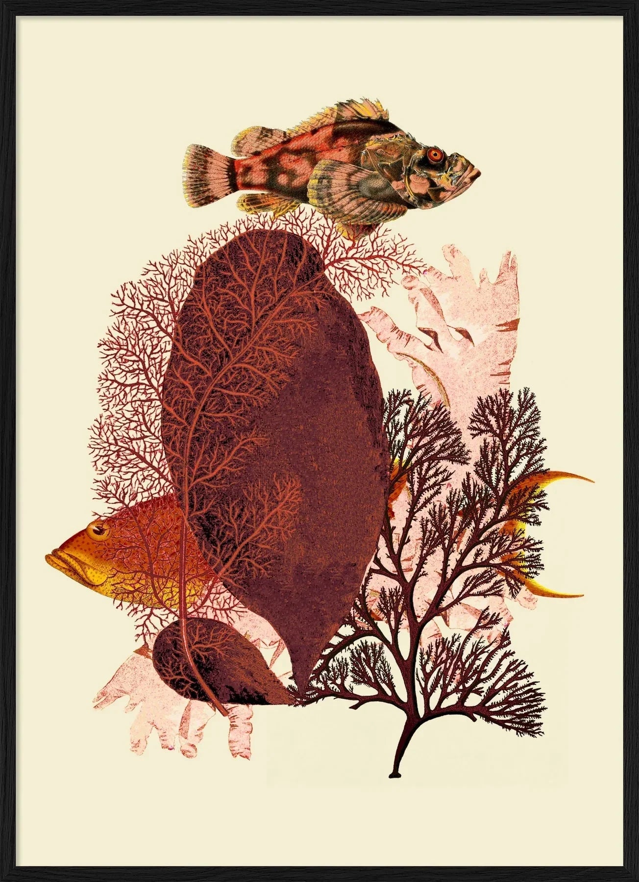 Red Tone Fish Framed Art Print - BFP 50x70 5600 - Uneeka