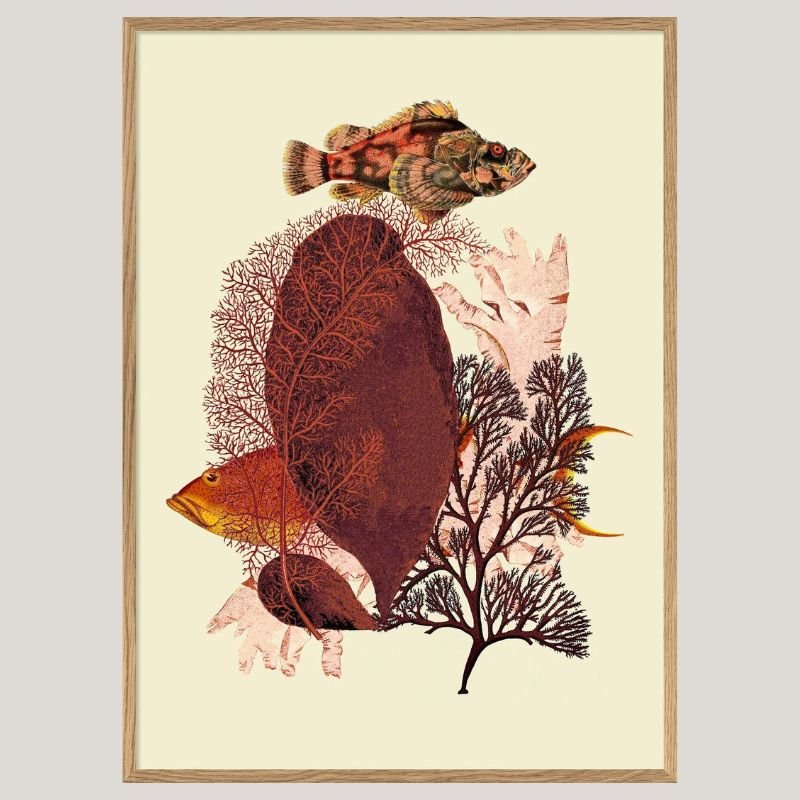 Red Tone Fish Framed Art Print - OFG 30x40 5600 - Uneeka