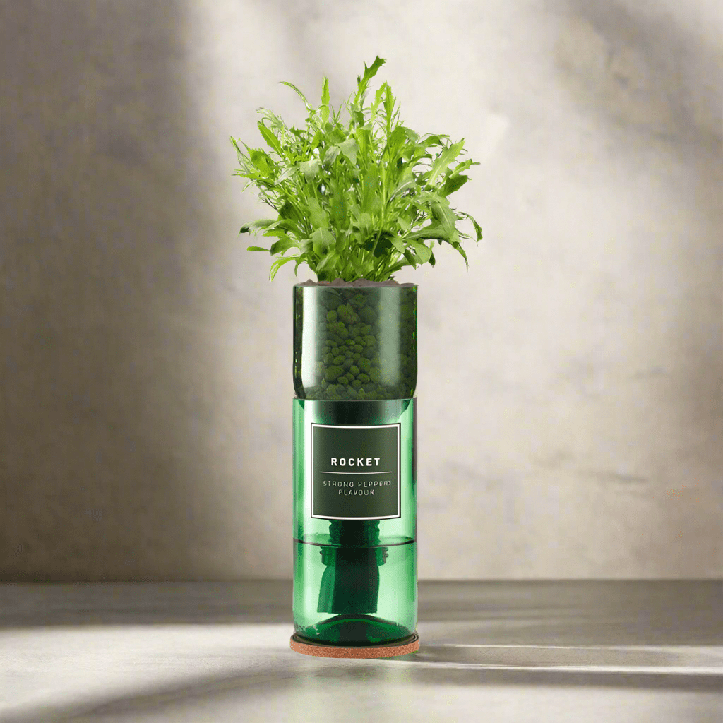 Rocket Hydro Herb* - ROCKET - Uneeka