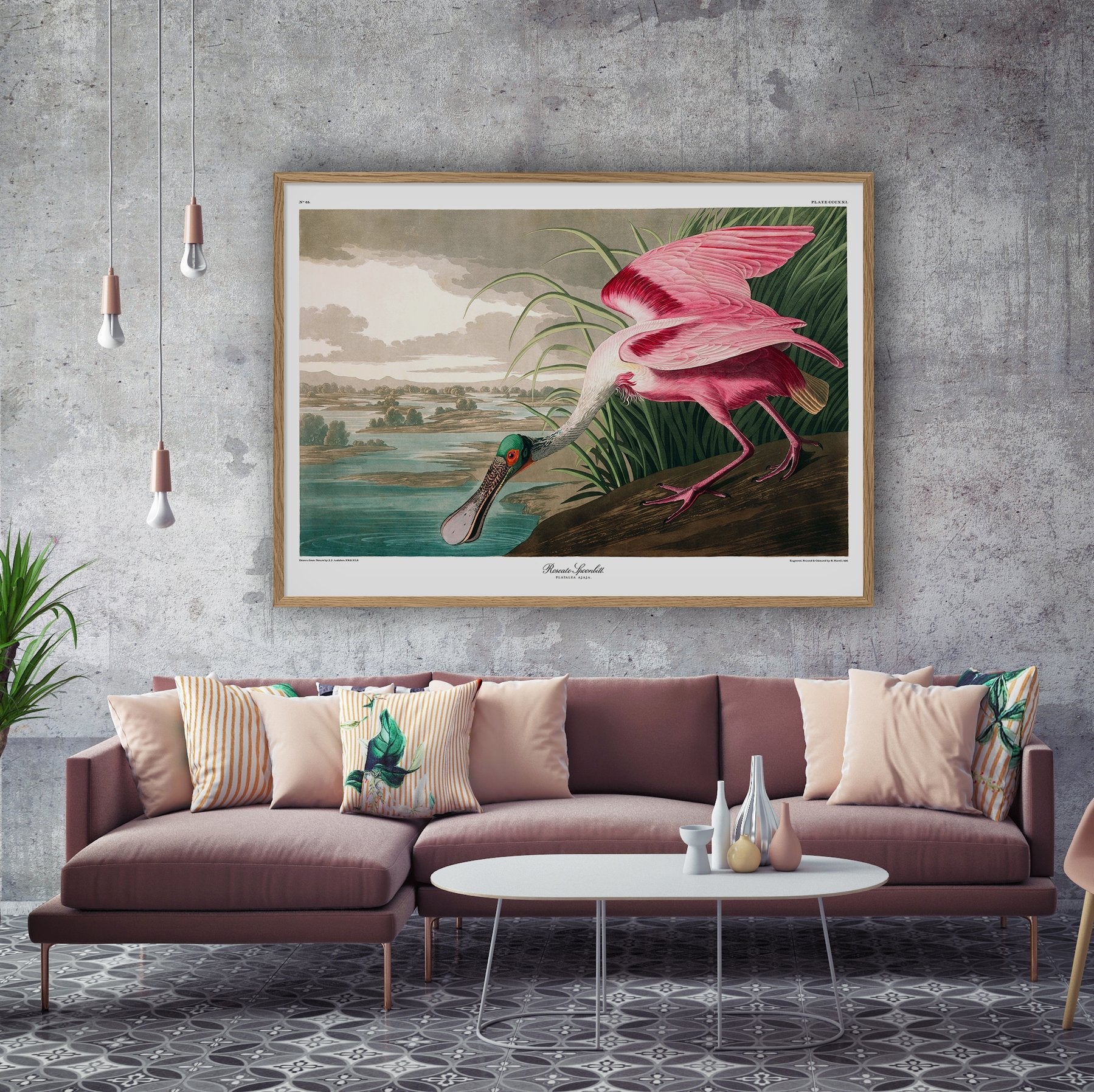 Roseate Spoonbill Framed Print - OFG 50x70 6506 - Uneeka