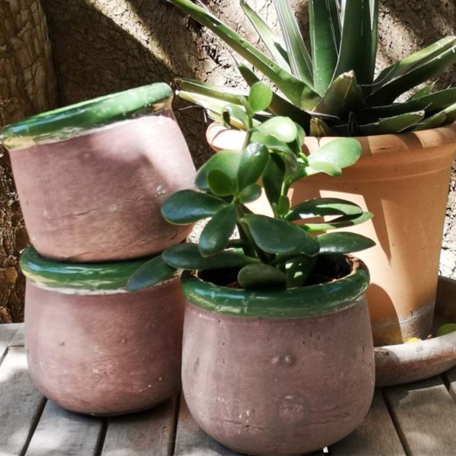 Rustic Terracotta Plant Pot with Coloured Rim - CV02012 - Uneeka