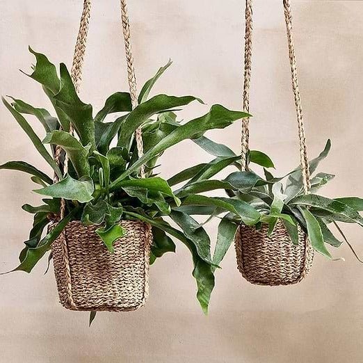 Sangdi Seagrass Hanging Planter - SP5201 - Uneeka