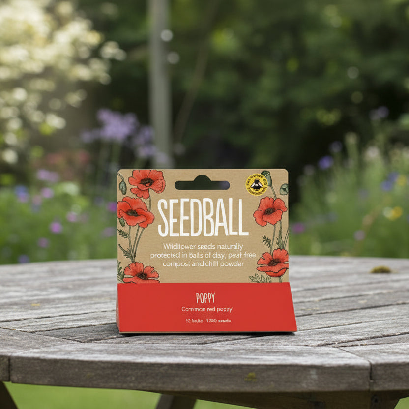 Seedball Hanging Seed Tube Packs - PACK-POP - Uneeka