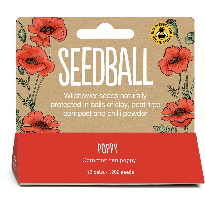 Seedball Hanging Seed Tube Packs - PACK - POP - Uneeka