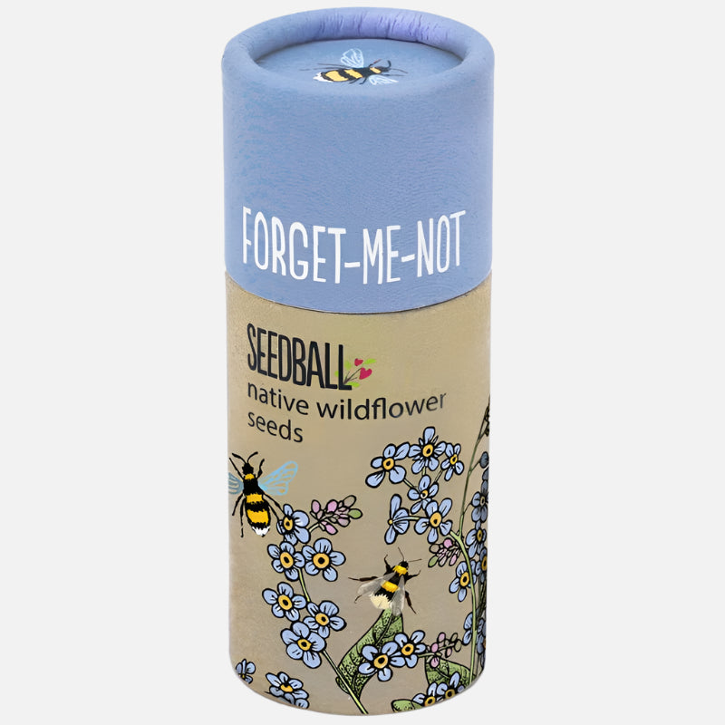Seedball Wildflower Tube - TUBE - MIXED FORGET ME NOT - Uneeka