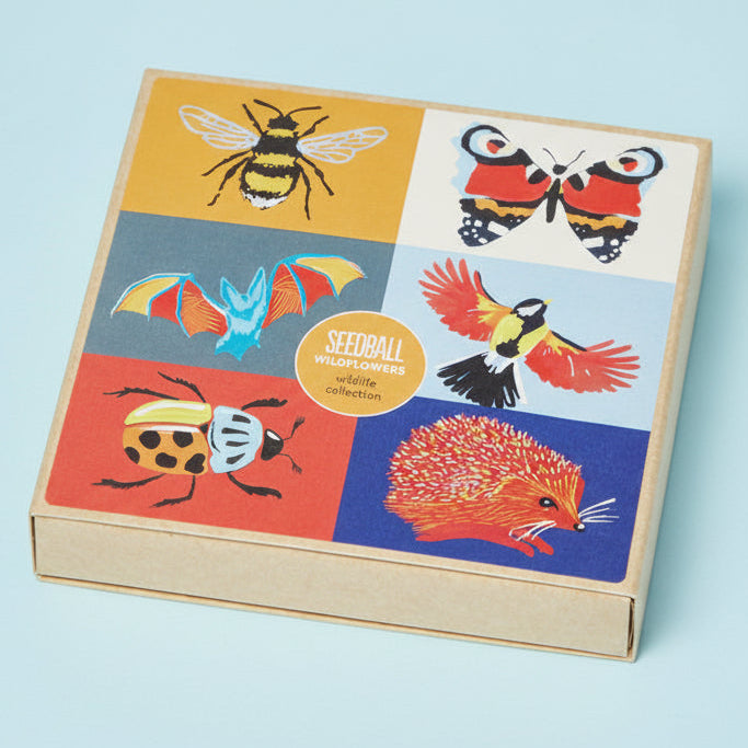 Set Of 6 Wildlife Friendly Wildflower Seed Mixes - Wildlife Collection - Uneeka