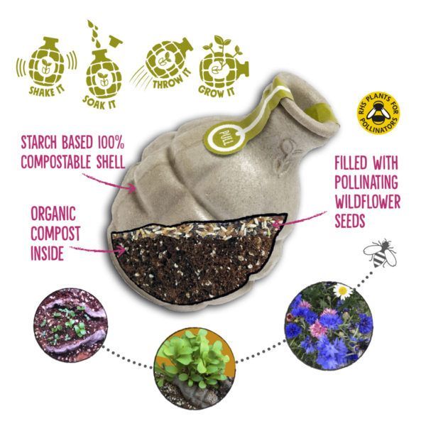 Seedbom Foragebom - SSBOM - FO - Uneeka