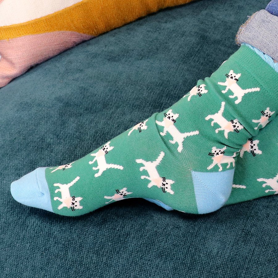 Set of 3 Cat Themed Socks - 20172 - Uneeka