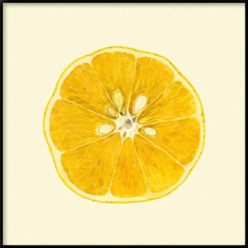 Sliced Open Lemon Framed Print - BFG 30x30 5819 - Uneeka
