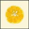 Sliced Open Lemon Framed Print - BFG 30x30 5819 - Uneeka