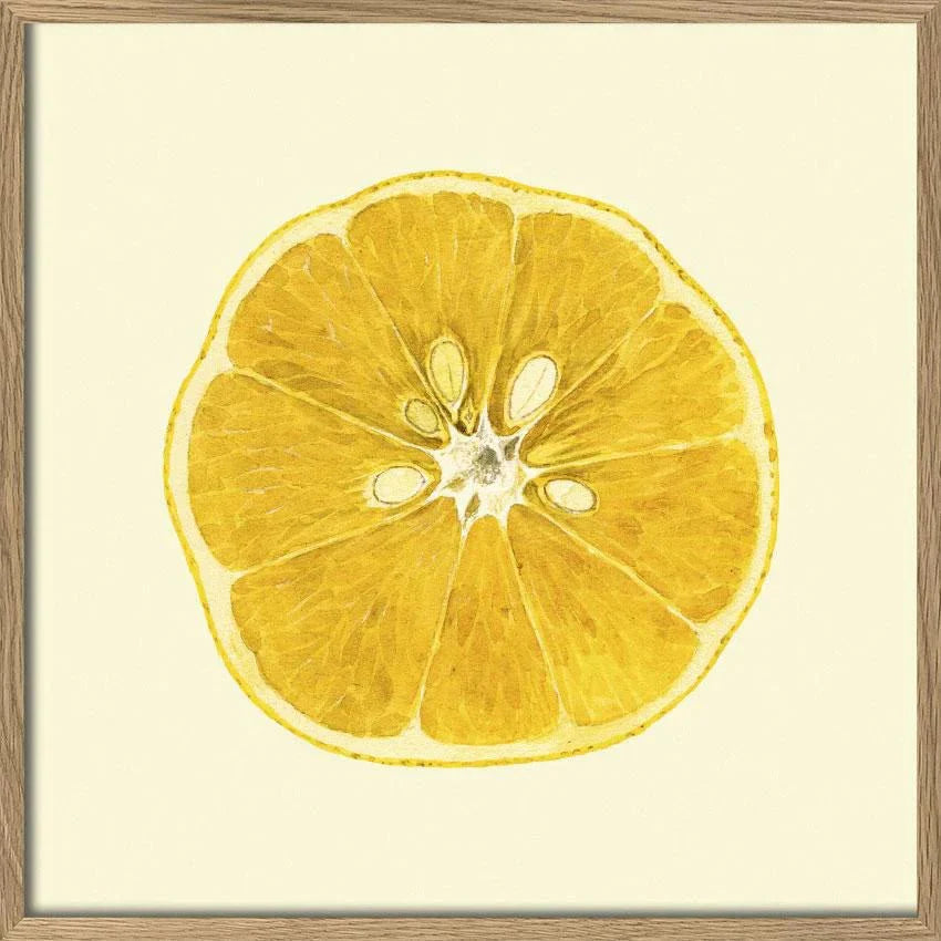 Sliced Open Lemon Framed Print - OFG 30x30 5819 - Uneeka
