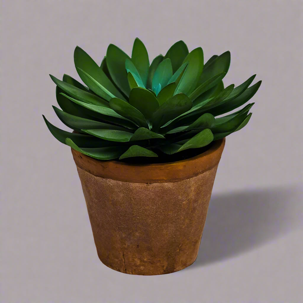 Small Faux Succulent in Terracotta Pot - AF49 - Uneeka