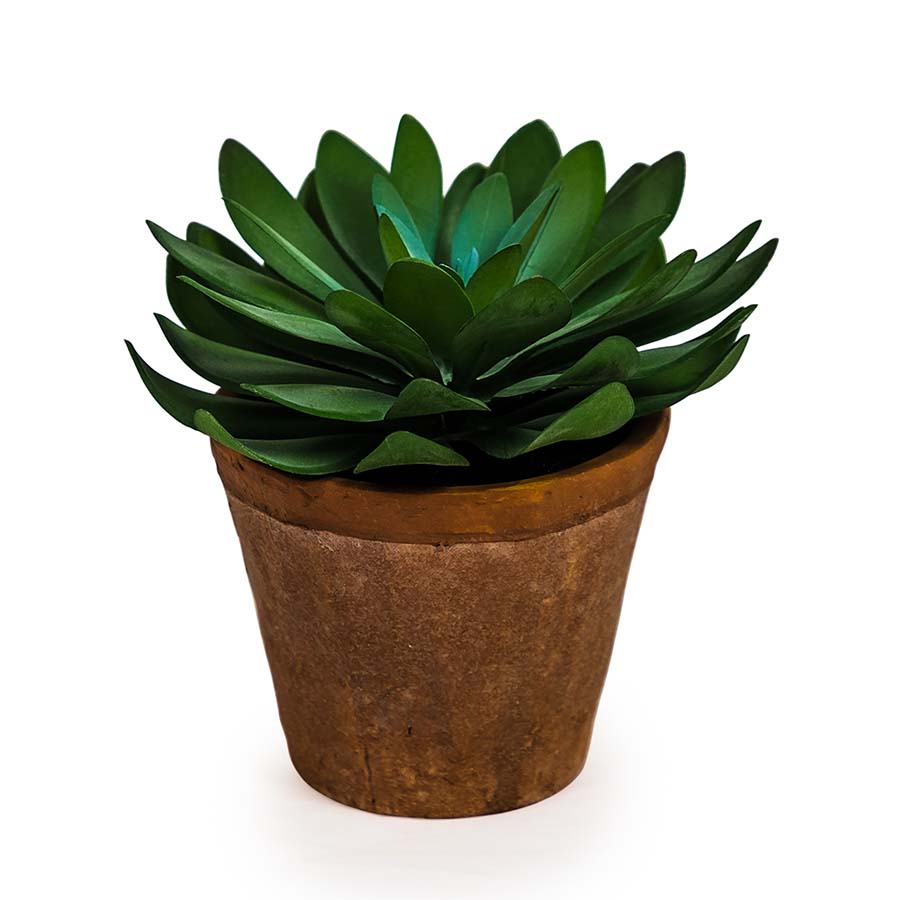 Small Faux Succulent in Terracotta Pot - AF49 - Uneeka