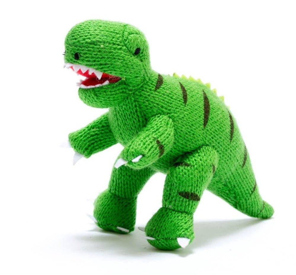 Small Green T Rex Knitted Dinosaur Baby Rattle - BY4130NB - Uneeka